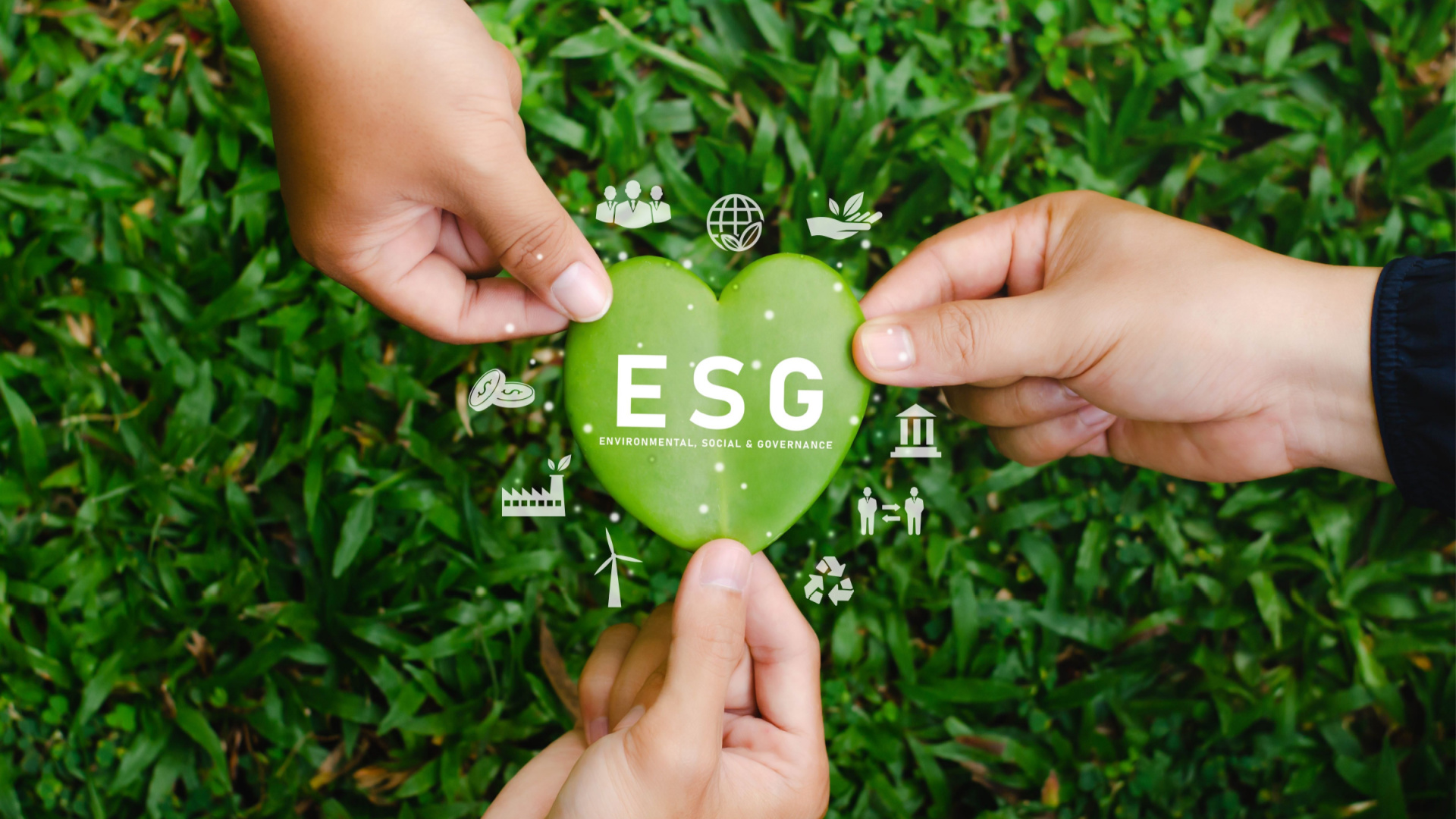 ESGの取り組み事例を紹介! 健康経営や人的資本経営との関係も解説