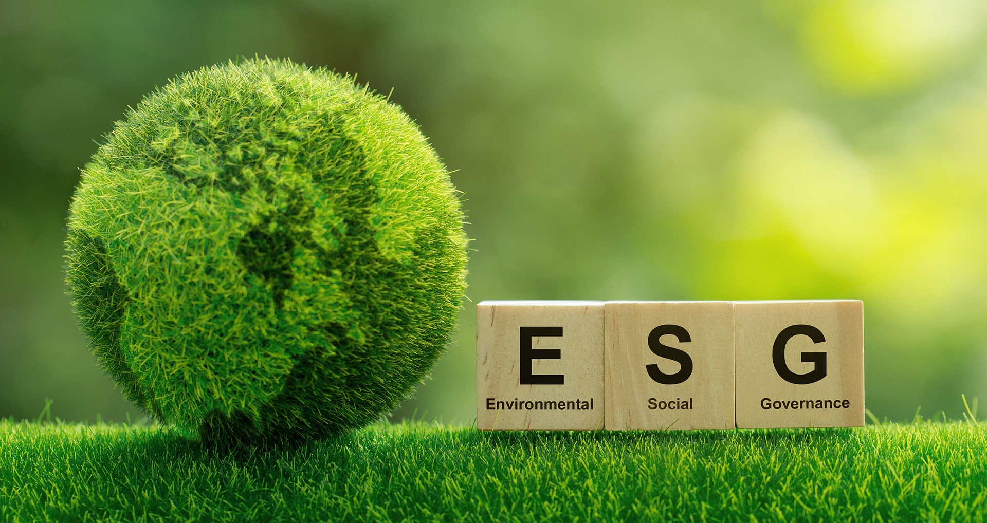 企業が注目するサスティナビリティ、ESG、SDGs－ウェルネスとの関係は？